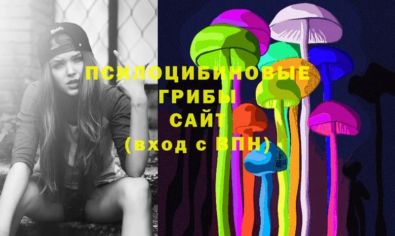 Галлюциногенные грибы Magic Shrooms  Гудермес 